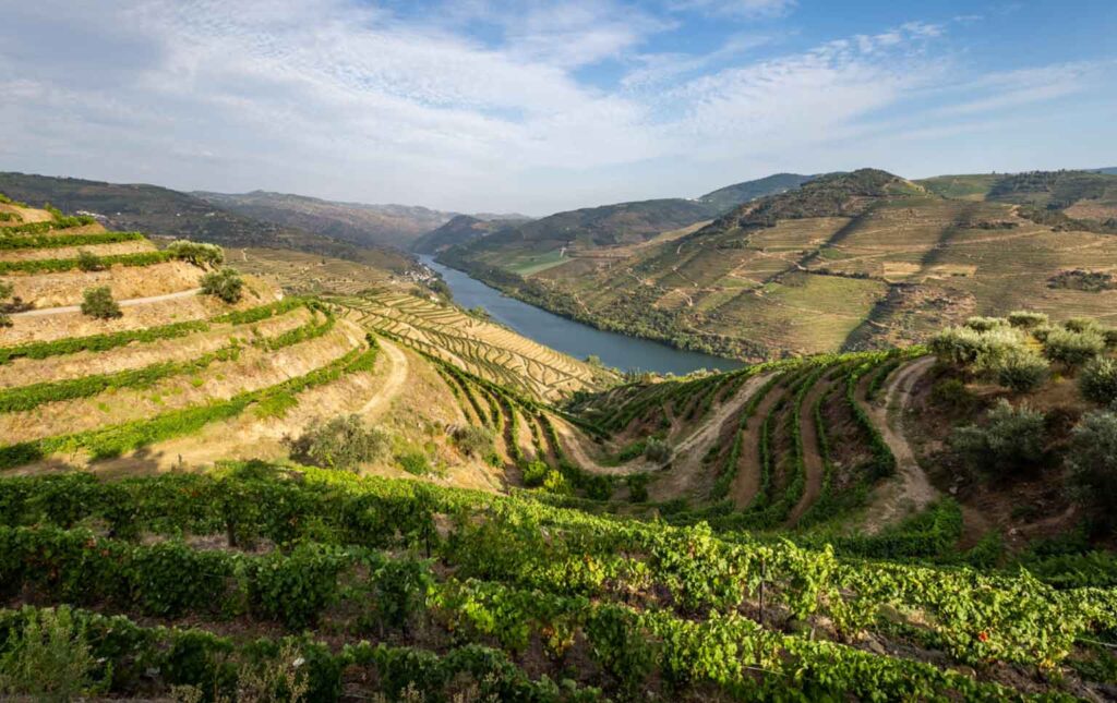 apoio extraordinário para o Douro