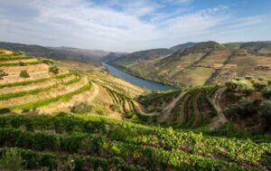 apoio extraordinário para o Douro